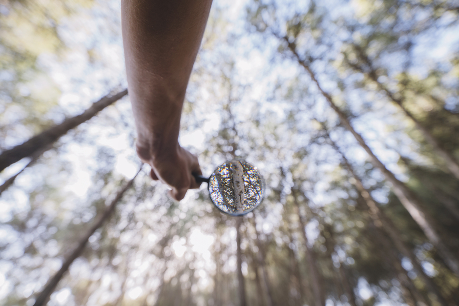 mano-de-cultivo-con-lupa-en-el-bosque (1)